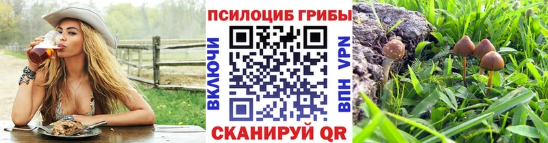Псилоцибиновые грибы Magic Shrooms Берёзовский